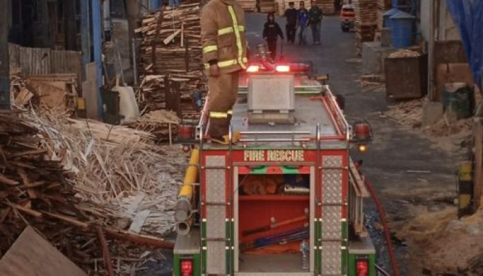 Pabrik Pengolahan Kayu PT RSI Kota Probolinggo Terbakar, Damkar Kerahkan 2 Unit Mobil Bisa Padam 