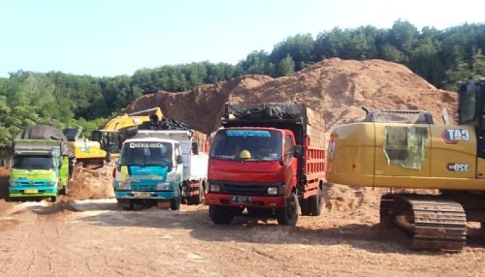 Stok Sawdust Surplus, PT Raja Muda Penuhi Target Pasokan Pada Semester Satu Tahun 2024