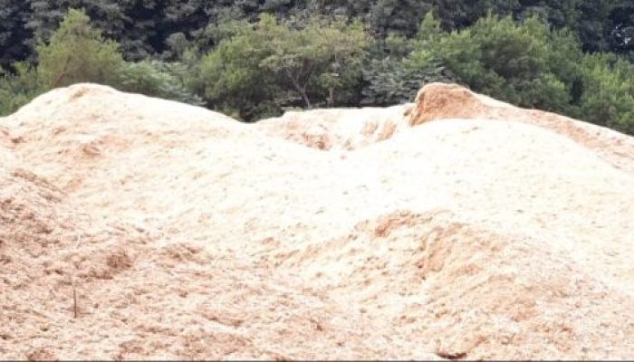 PT Raja Muda Gemilang Fokus Melakukan Bisnis Biomassa, Energi Alternatif Ramah Lingkungan