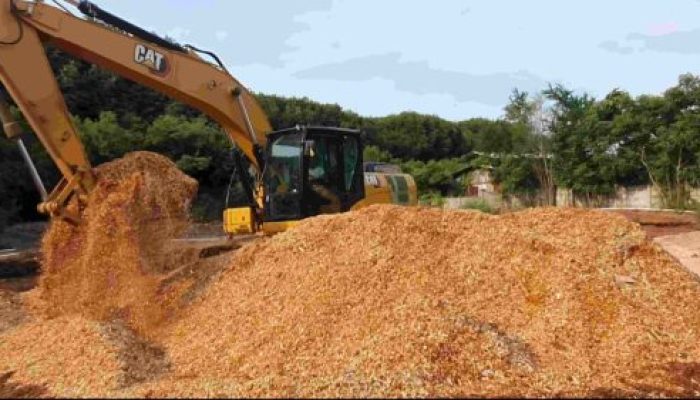 Terapkan Manejemen Efesien, PT Raja Muda Gemilang Genjot Target Sawdust di Kawsan PLTU Paiton